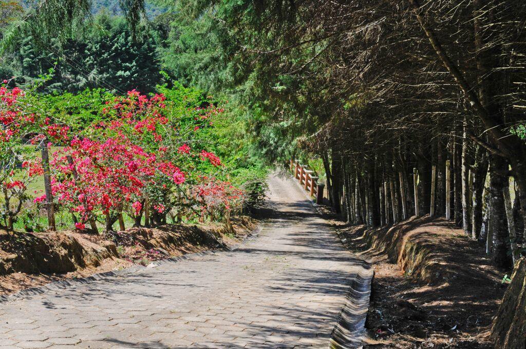 Pousada Sol Da Montanha Jardim Sun Valley Dış mekan fotoğraf